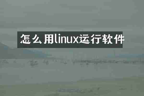 怎么用linux运行软件