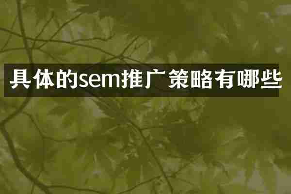 具体的sem推广策略有哪些