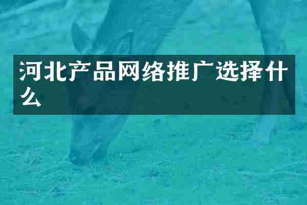 河北产品网络推广选择什么