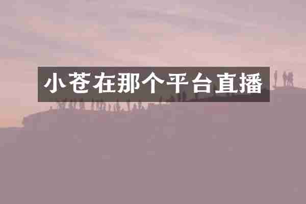 小苍在那个平台直播