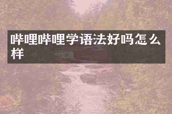 哔哩哔哩学语法好吗怎么样