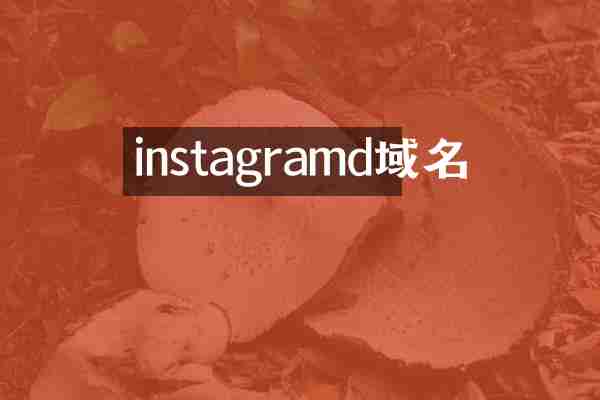 instagramd域名