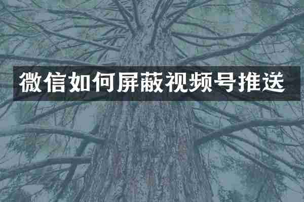 微信如何屏蔽视频号推送