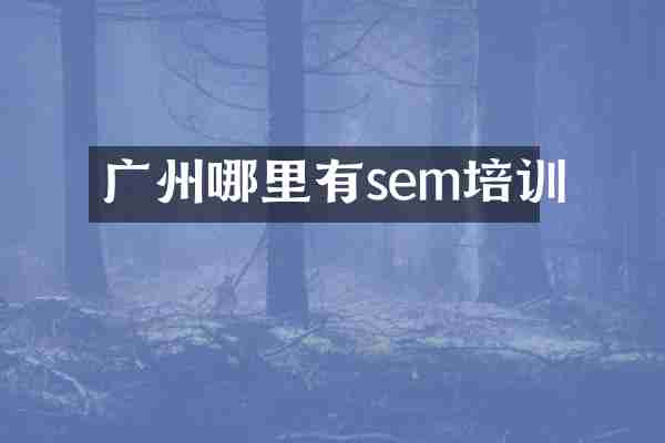 广州哪里有sem培训