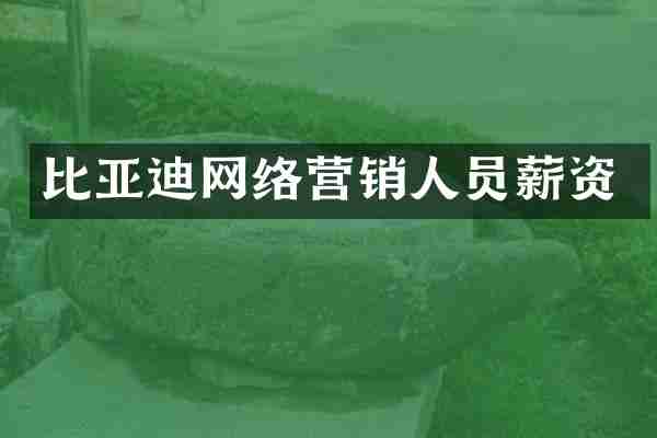比亚迪网络营销人员薪资