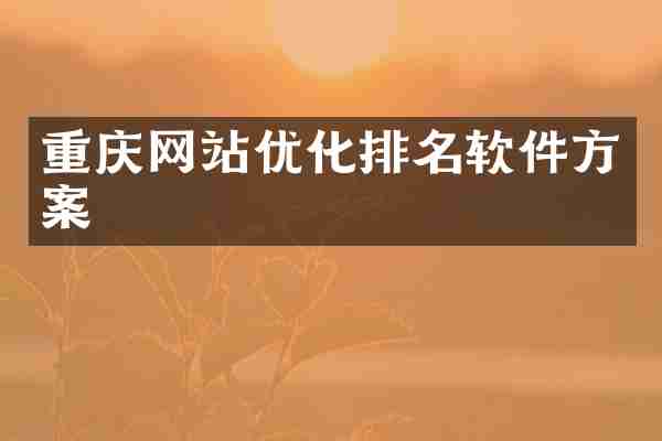 重庆网站优化排名软件方案