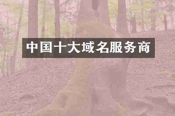 中国十大域名服务商