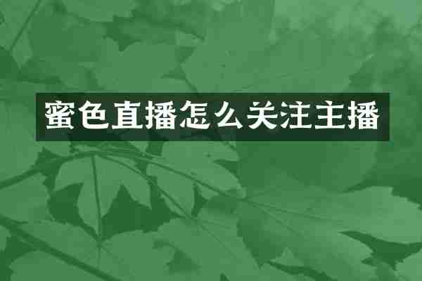 蜜色直播怎么关注主播