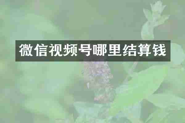 微信视频号哪里结算钱
