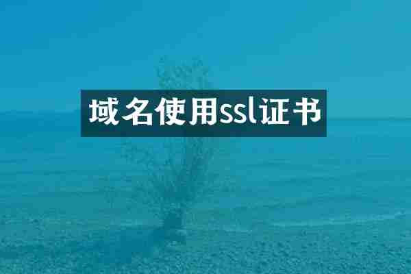 域名使用ssl证书