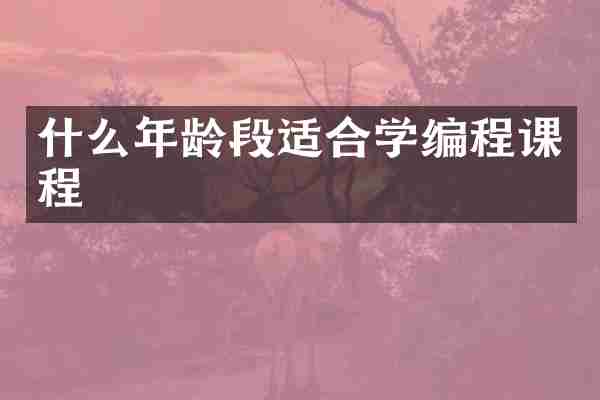 什么年龄段适合学编程课程