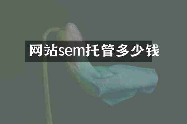 网站sem托管多少钱