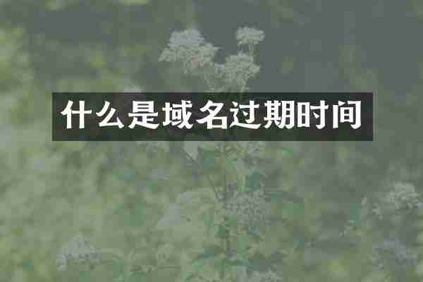 什么是域名过期时间