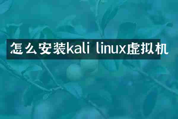 怎么安装kali linux虚拟机