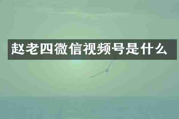 赵老四微信视频号是什么