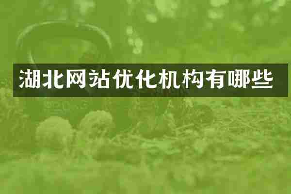 湖北网站优化机构有哪些