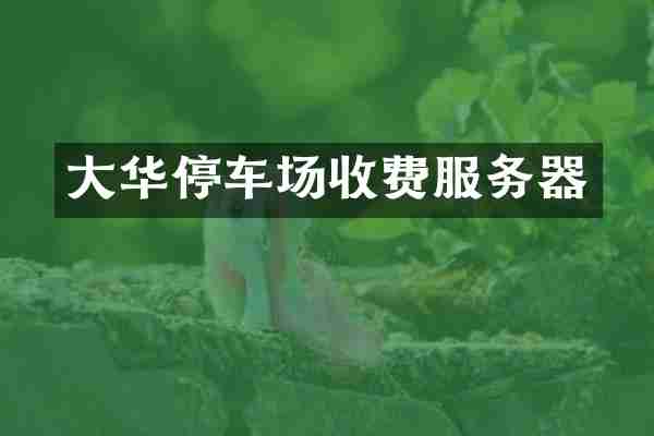 大华停车场收费服务器