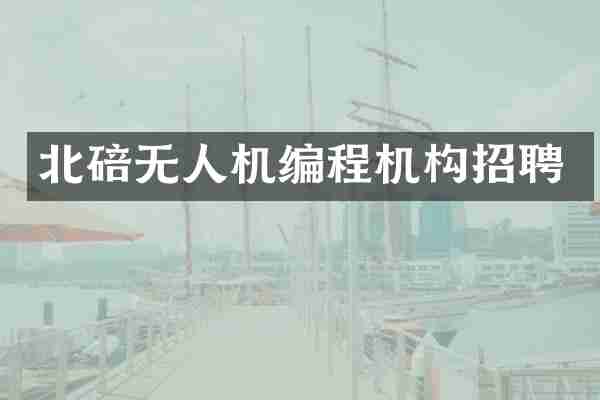 北碚无人机编程机构招聘