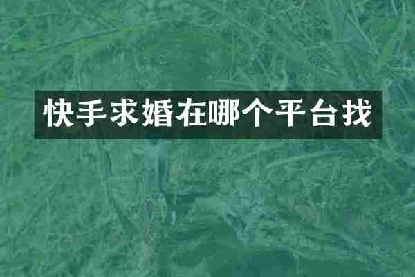 快手求婚在哪个平台找