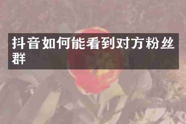 抖音如何能看到对方粉丝群