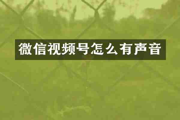 微信视频号怎么有声音