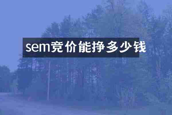 sem竞价能挣多少钱