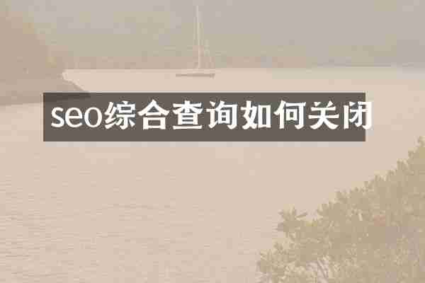 seo综合查询如何关闭