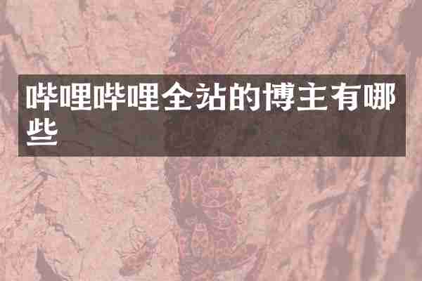 哔哩哔哩全站的博主有哪些