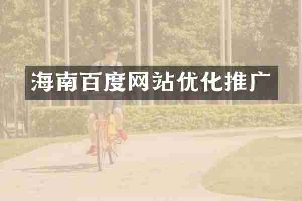 海南百度网站优化推广