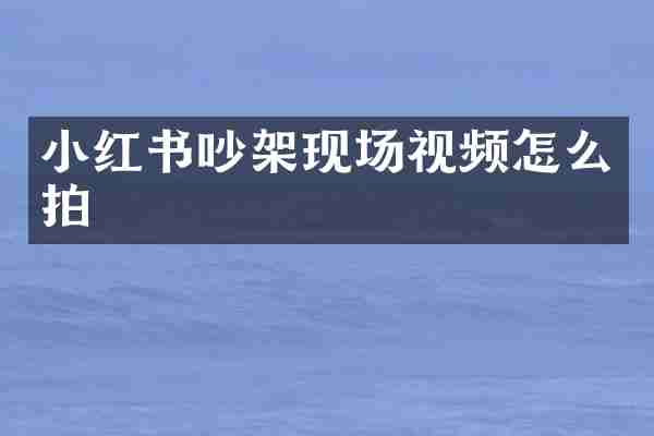 小红书吵架现场视频怎么拍
