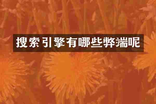 搜索引擎有哪些弊端呢