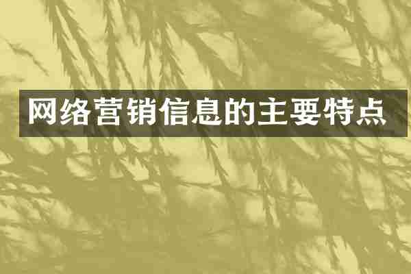 网络营销信息的主要特点