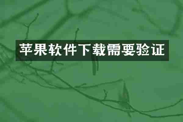 苹果软件下载需要验证