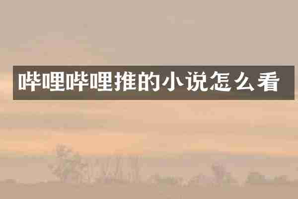 哔哩哔哩推的小说怎么看