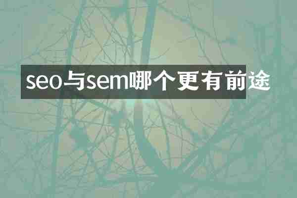 seo与sem哪个更有前途