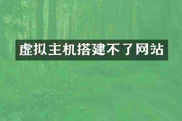 虚拟主机搭建不了网站