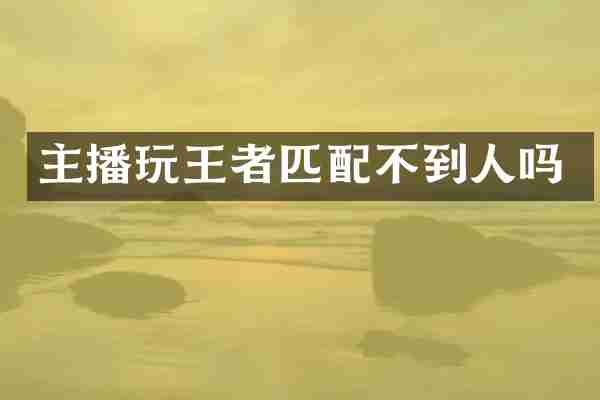 主播玩王者匹配不到人吗