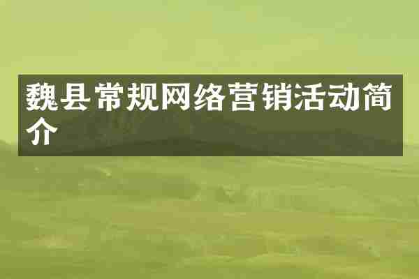 魏县常规网络营销活动简介