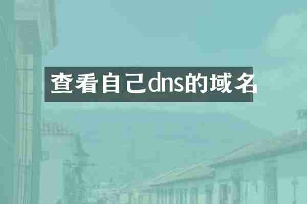 查看自己dns的域名
