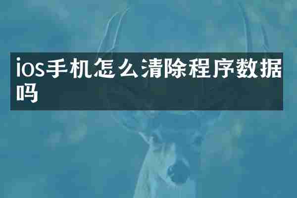ios手机怎么清除程序数据吗