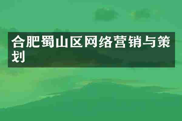 合肥蜀山区网络营销与策划