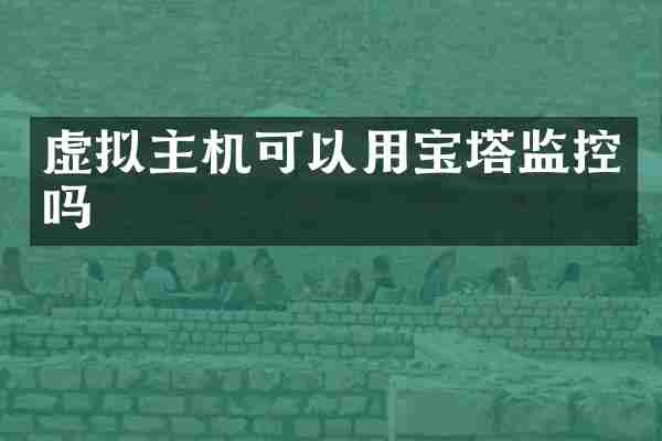 虚拟主机可以用宝塔监控吗