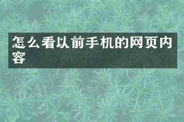 怎么看以前手机的网页内容