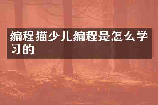 编程猫少儿编程是怎么学习的