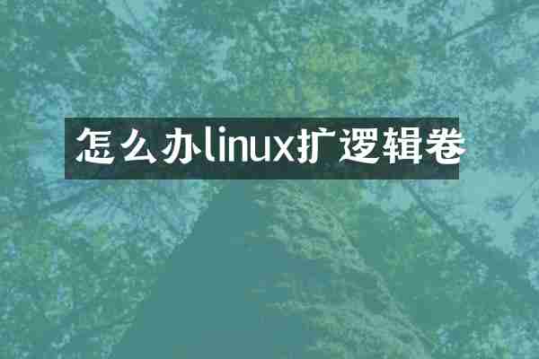 怎么办linux扩逻辑卷