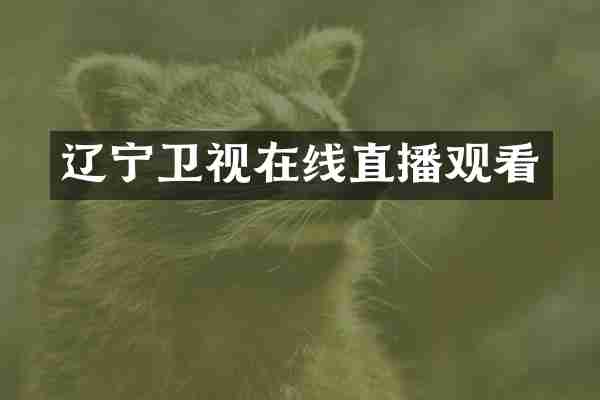 辽宁卫视在线直播观看