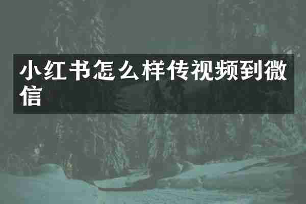 小红书怎么样传视频到微信