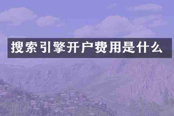 搜索引擎开户费用是什么