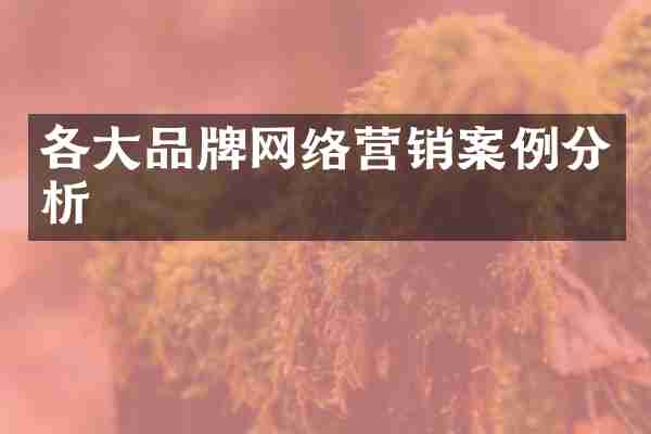 各大品牌网络营销案例分析