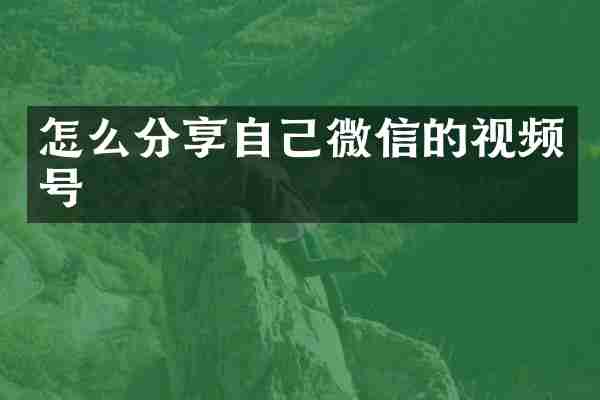 怎么分享自己微信的视频号